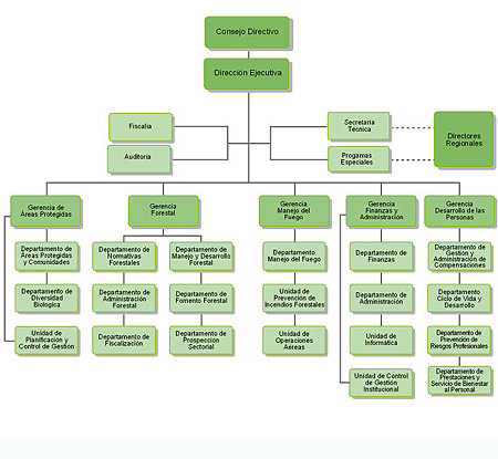Organigrama CONAF