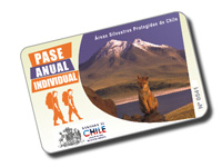 Pase Anual Individual