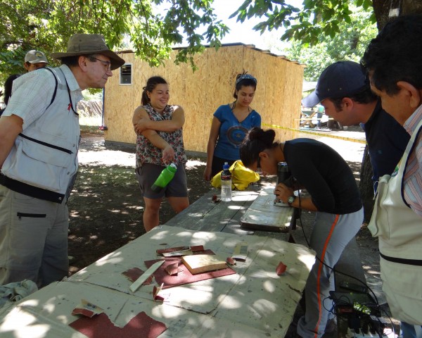 Voluntarios trabajan en parques del Biobío