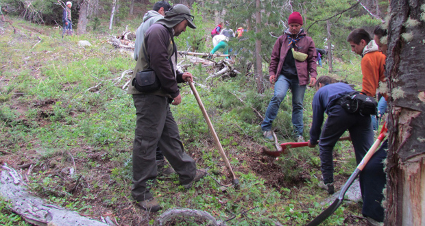En Reserva Lago Jeinimeni scouts y CONAF realizan jornada de eliminación de especies exóticas.