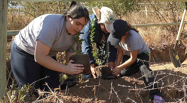 Escolares plantaron 120 árboles nativos en el Parque Periurbano de La Ligua.