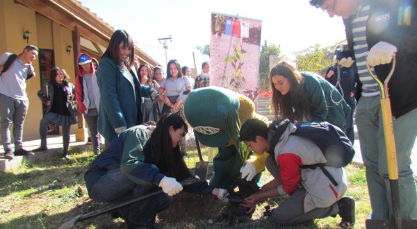 Una treintena de arbolitos nuevos lucen desde este martes en el Liceo Mistraliano, ubicado en la comuna de Paihuano en el Valle de Elqui.
