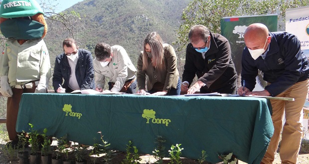 Con el patrocinio de la Gobernación de la Provincia de Marga Marga, la Universidad de Valparaíso y la Municipalidad de Olmué, la Corporación Nacional Forestal (CONAF) y la Fundación Andestrek suscribieron un convenio de cooperación para la ejecución del proyecto “Por una cumbre sin rayados: Rescate en. La Campana”