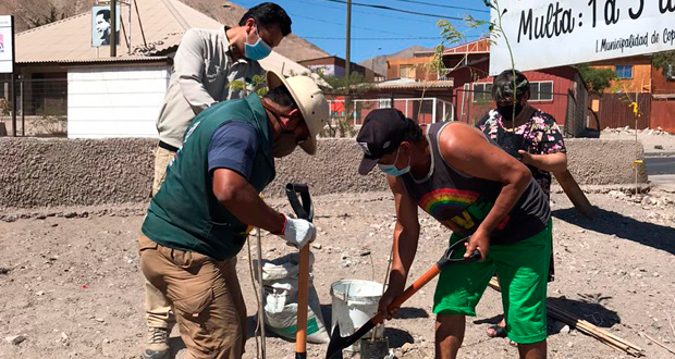 sta iniciativa pudo concretarse gracias al programa “arborización comunitaria” desarrollado por la CONAF Atacama.