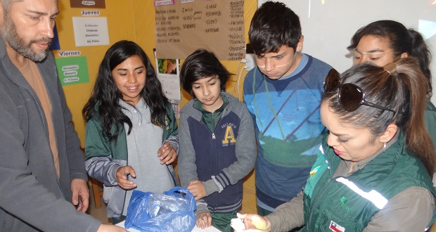 CONAF abrió la inscripción para el programa de educación ambiental que desarrolla anualmente en jardines infantiles, colegios y escuelas de la Región de Valparaíso.