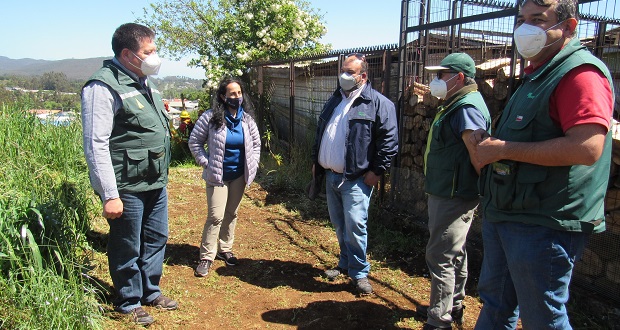 Director regional de CONAF, Francisco Pozo, realizó un recorrido por el sector de Villa Oriente, donde brigadistas de la Corporación están trabajando en la construcción manual de cortafuegos.