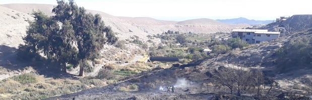 CONAF inicia prohibición de quemas agrícolas en el Tamarugal