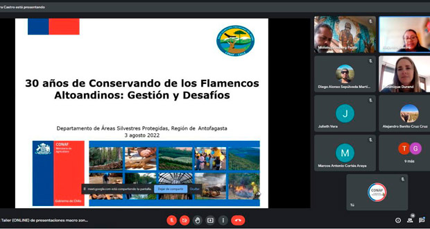 Durante la jornada, se presentó el Plan Nacional de conservación de Flamencos Andinos, las gestiones y desafíos de los últimos 30 años, el monitoreo de los humedales, anillamientos y medicaciones.