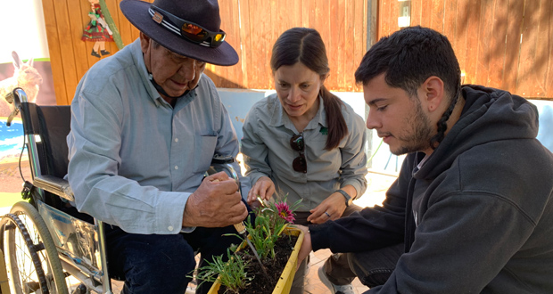 Junto a los adultos mayores del Centro Diurno Sol del Tamarugal el equipo del Programa de Mejoramiento Ambiental de CONAF realizó un taller de plantación.