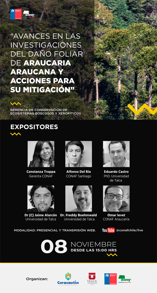 Seminario-2022-Araucaria-8-Noviembre-afiche1