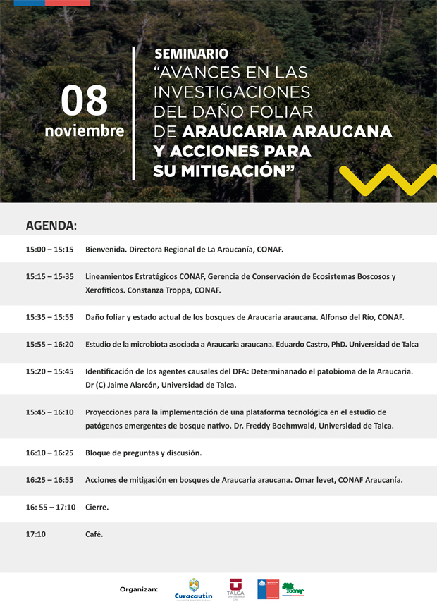 Seminario-2022-Araucaria-8-Noviembre-programa