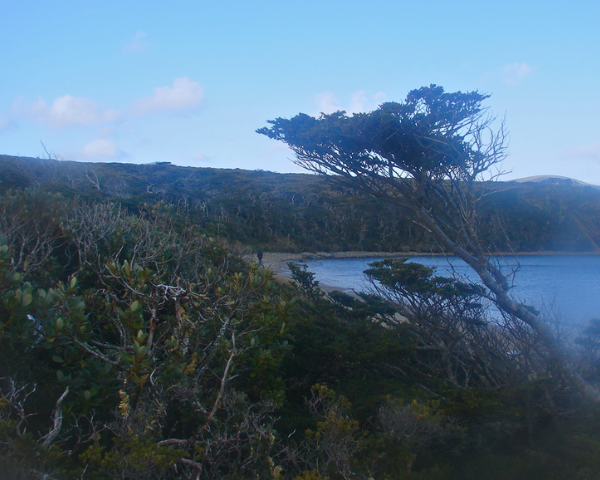 La Reserva de la Biósfera Cabo de Hornos es una de las 10 reservas que existen en Chile.