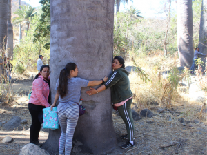 En el marco del Mes de la Mujer, 18 mujeres viveristas recorrieron el sendero El Palmalillo.