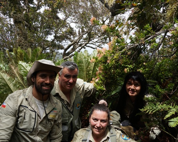 Guardaparques junto a la planta, en el Parque Nacional Archipiélago de Juan Fernández.