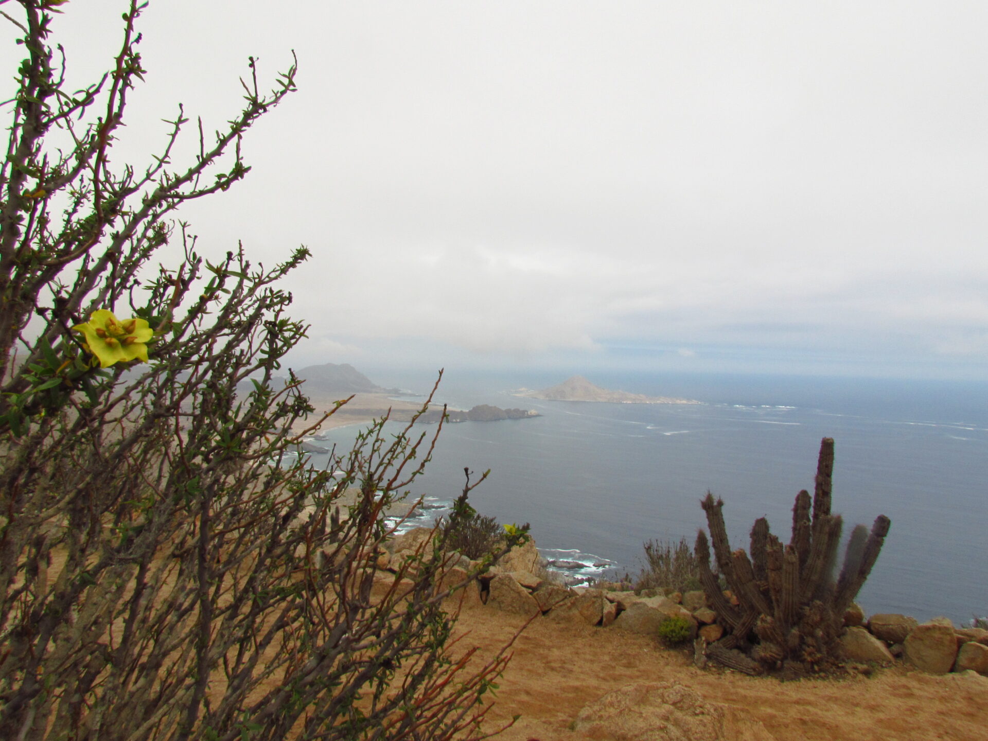 Parque Nacional Pan de Azúcar - CONAF
