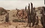 Parque Nacional Pan de Azúcar, Región de Atacama