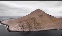 El yunco, un habitante secreto de la isla Pan de Azúcar (Parte 1)