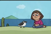 Video educativo: Yunco (Pelecanoides garnotii).