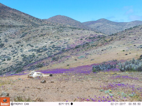 M2E170A1L227-271.0360107-271.0360107