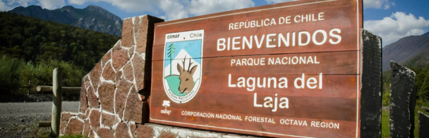 CONAF llama a comprar entradas con anticipación al Parque Nacional Laguna del Laja