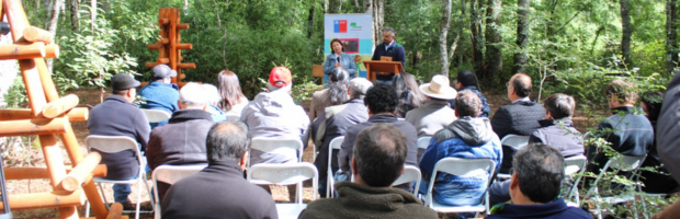 CONAF La Araucanía reconoce trabajo de propietarios en marco  del Concurso Bosque Nativo