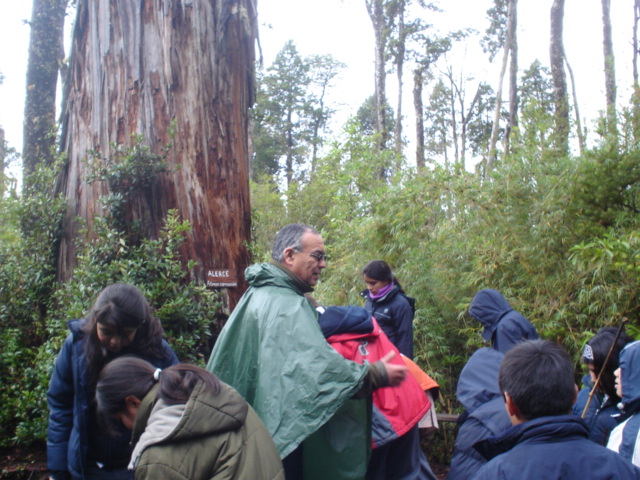 Monumento Natural Lahuen Ñadi CONAF