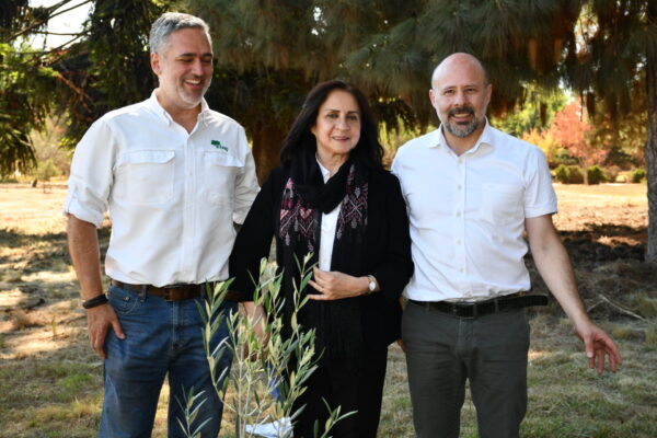 cnf_6262_53643599378_o