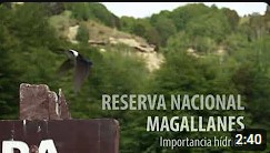 Reserva Nacional Magallanes