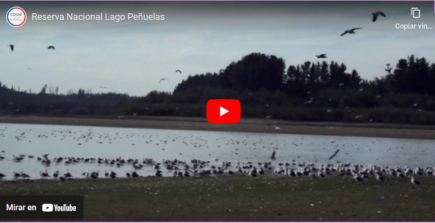 Reserva Nacional Lago Peñuelas (2020)