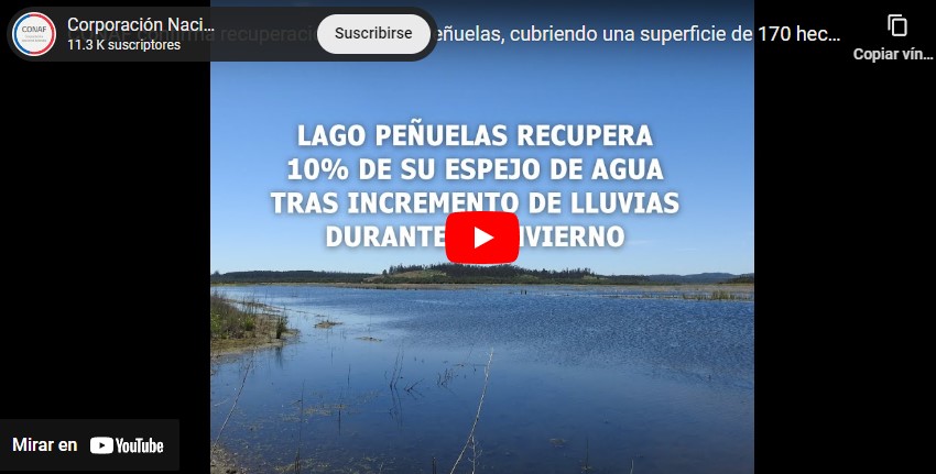 CONAF confirma recuperación del Lago Peñuelas (2023)