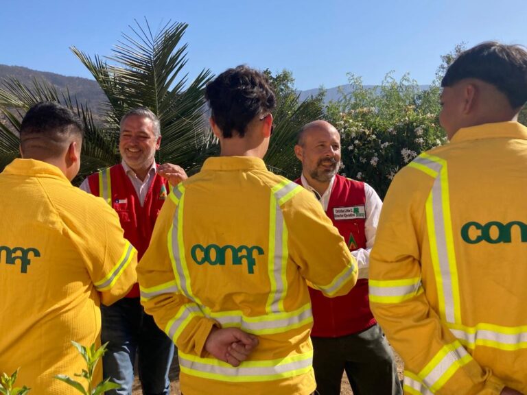 Chile conmemora el Día Nacional de las y los Brigadistas Forestales - CONAF