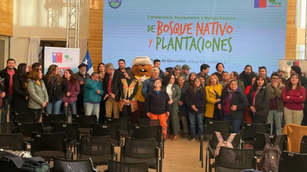 Aysen bosque nativo y plantaciones