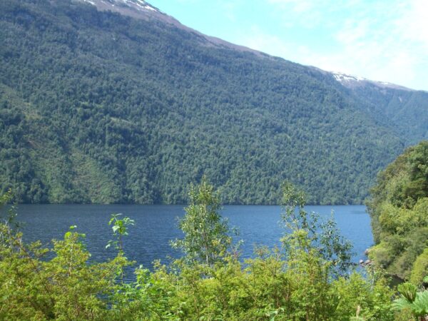 vista lago + bosque nativo
