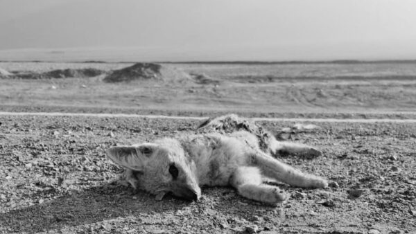 11-06-2024 Morro Moreno (1)