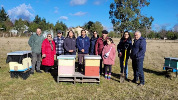 10-07-2024 Miel Araucanía