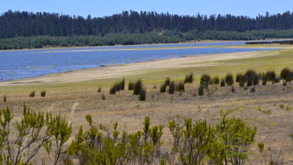 19-07-2024 agua peñuelas
