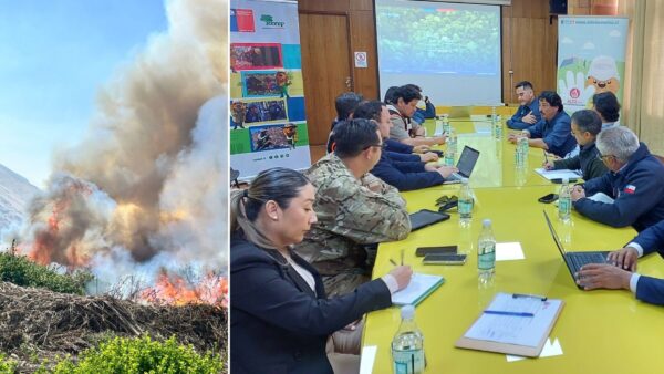 05-08-2024 Incendios Arica