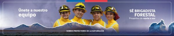 Banner_web_Convocatoria_1920x400 (1)