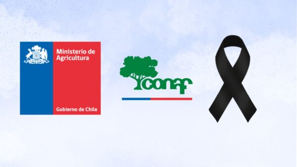 28-12-2024 logo cinta negra (1)