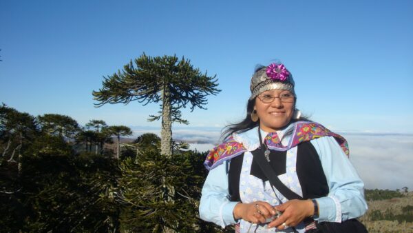 54341542499_d5c7925c62_k