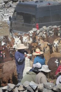 manejo 4