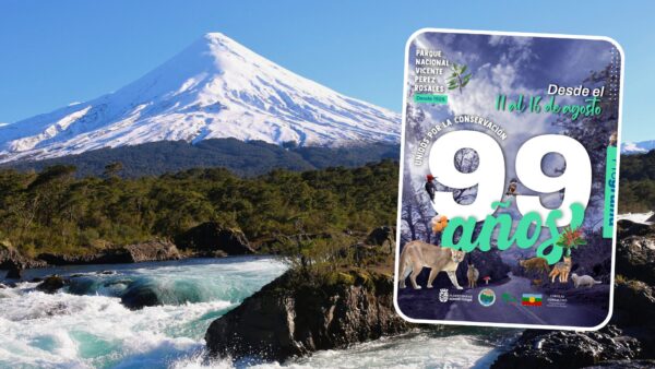 06-08-2025 99 años PNVPR