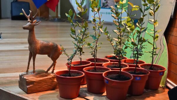 06-08-2025 Huemul central