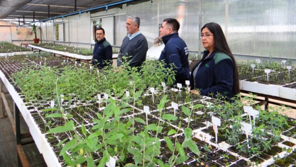 25-10-2025 Vivero Nueva Imperial