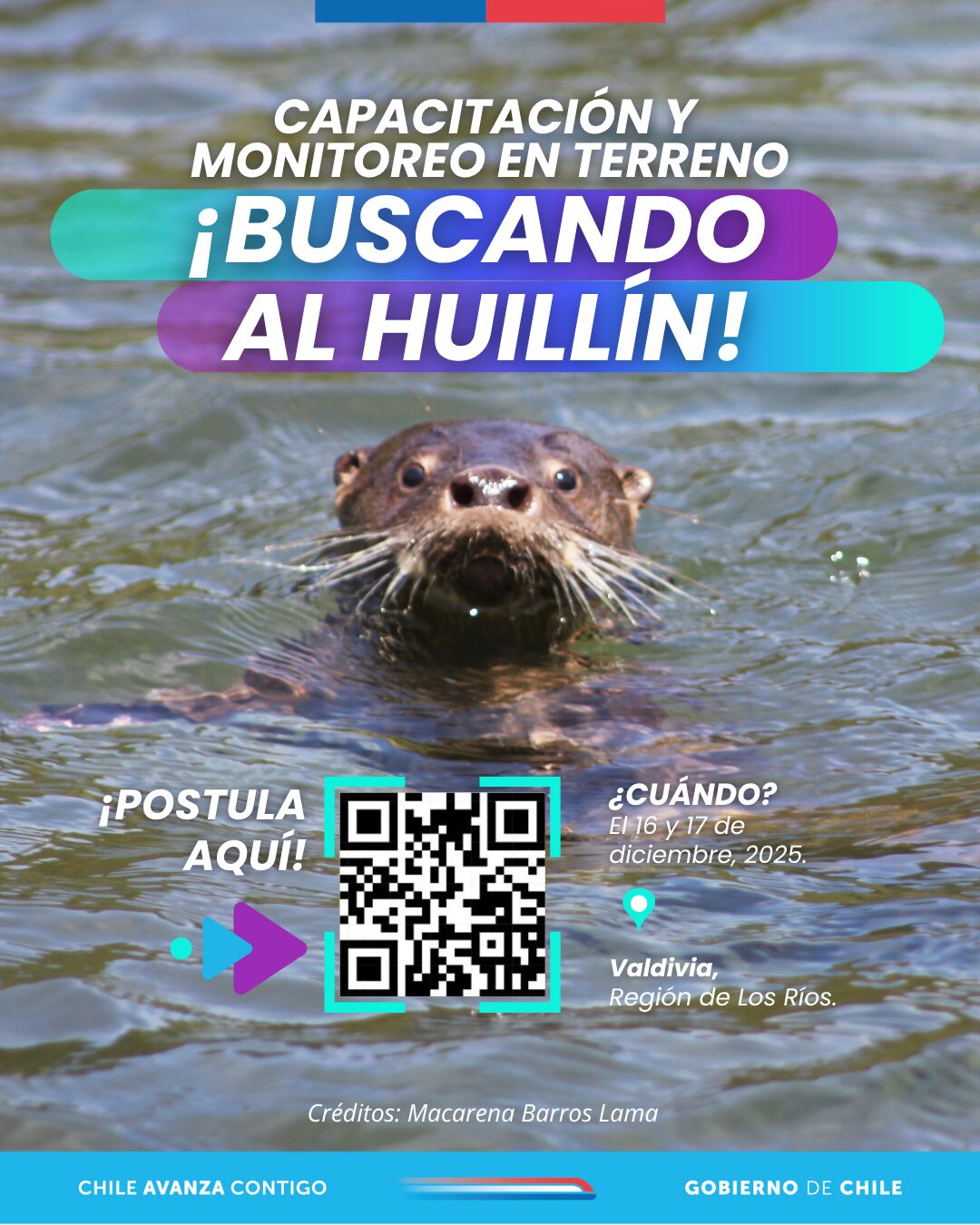 Huillin 1