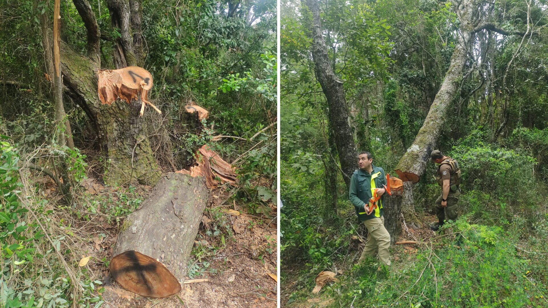 05-11-2025 Biobío 2