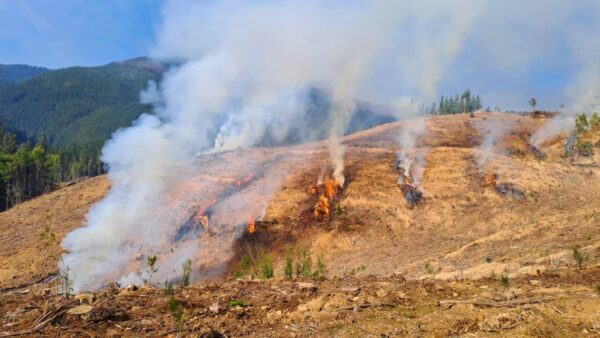 14-11-2025 Quemas Biobío