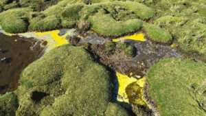 ACEITE BOFEDAL ALTOANDINO