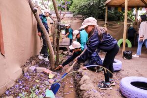 c68e72fc-9bce-4a0f-a1ed-99c77bcbdad1