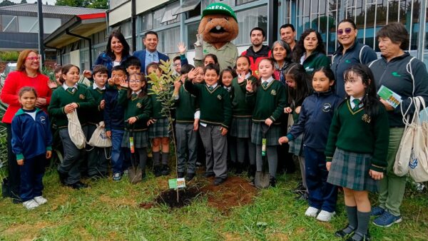 plantacion-ulmo-puerto-montt